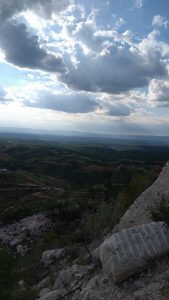 WhatsApp Image 2021-11-23 at 2.49.03 PM